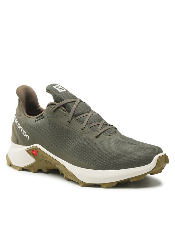 Salomon Zapatillas de running Salomon Alphacross 3 Gtx GORE-TEX 416002 Verde