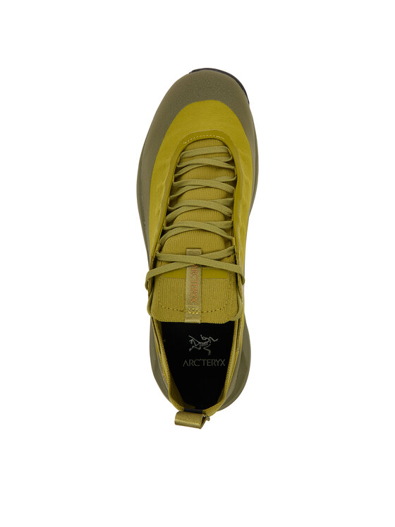 Arc'teryx Трекінгові черевики Arc'teryx Verte Alpine Gtx Gore-Tex X000009602 Зелений