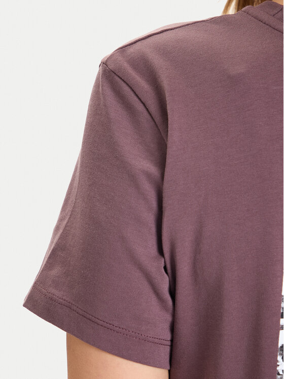 The North Face The North Face Camiseta Box Nse Edge Of Light NF0A8E3J Marrón Relaxed Fit