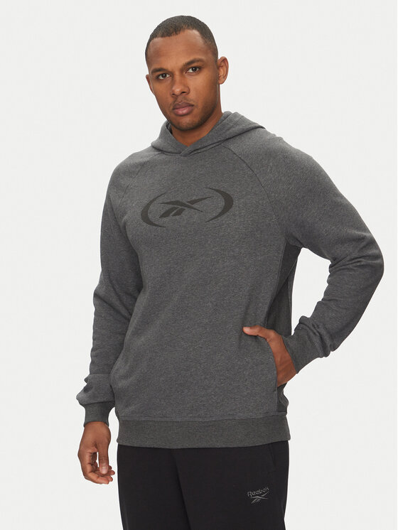 Reebok Reebok Sudadera 100214853 Gris Regular Fit