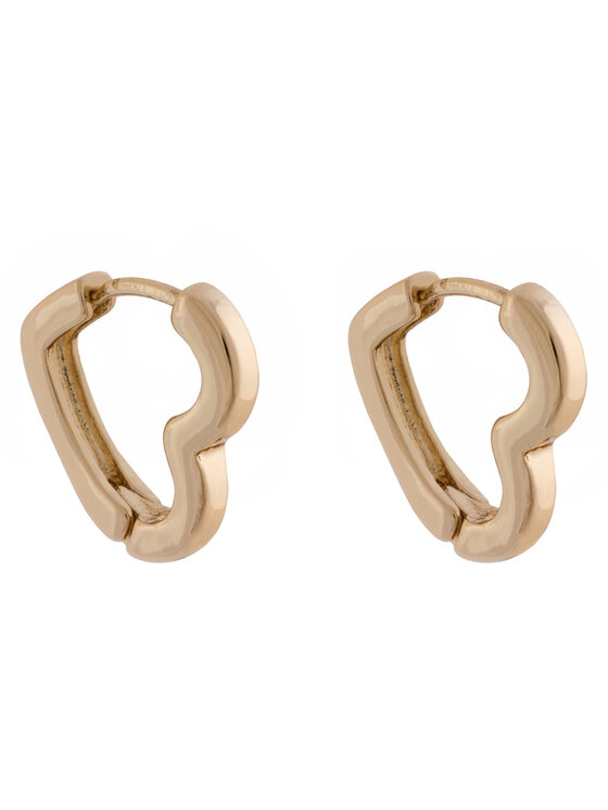 Aldo Auskaru komplekts Aldo Charmiies 13994892 Zelta