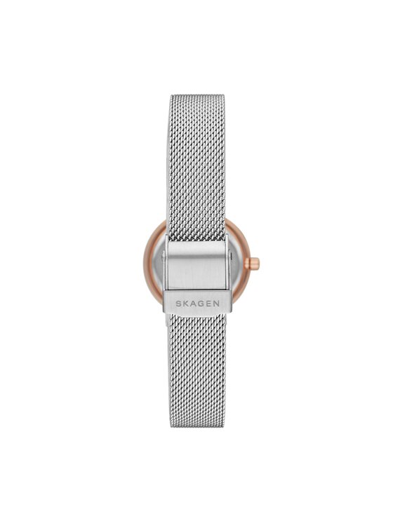 Skagen Hodinky Skagen Leonora SKW1112 Strieborná