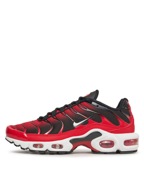 Nike Laisvalaikio batai Nike Air Max Plus FV0950 600 Raudona