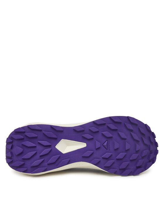 Salomon Взуття для бігу Salomon Alphaglide L47801800 Сірий