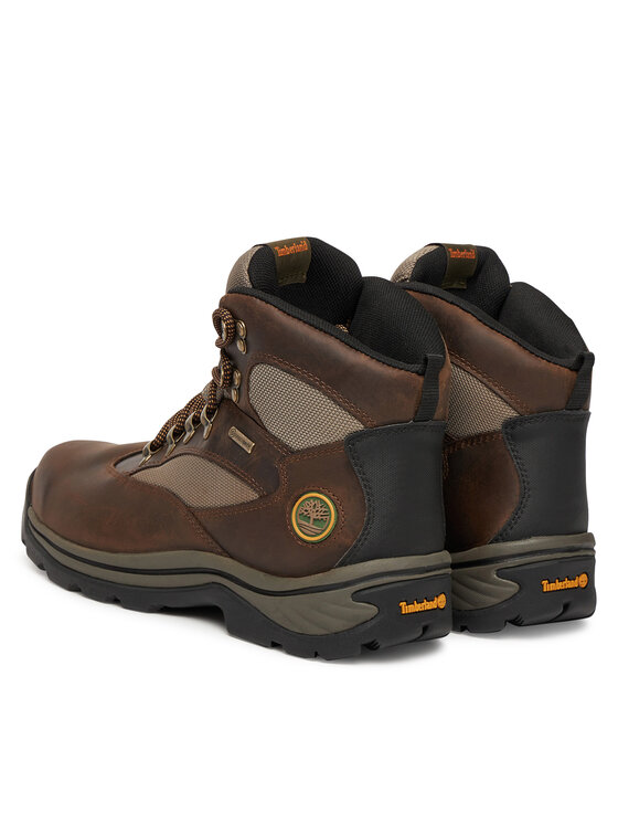 Timberland Pārgājienu apavi Timberland Chocorua Waterproof TB1151302101 Brūns