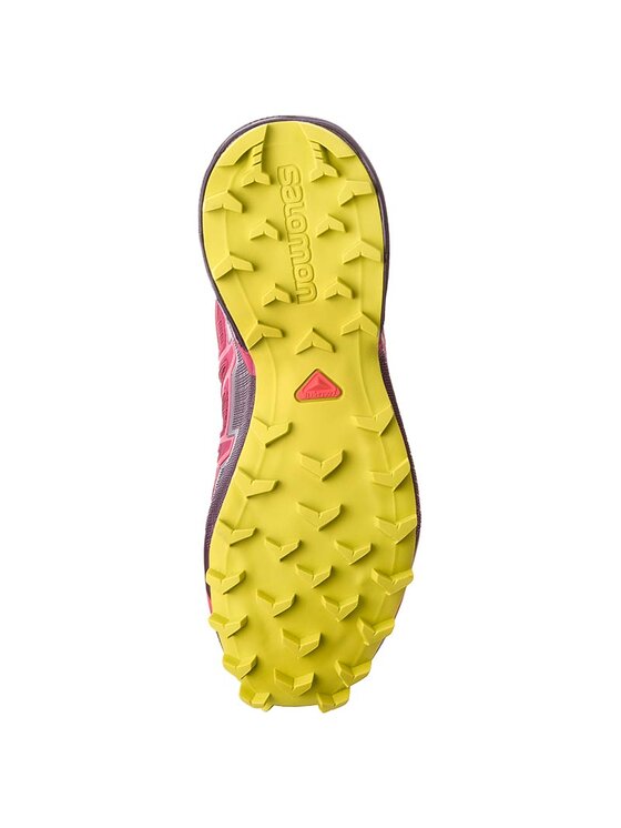 Salomon Маратонки за бягане Salomon Speedcross 4 Gtx GORE-TEX 404666 22 G0 Розов