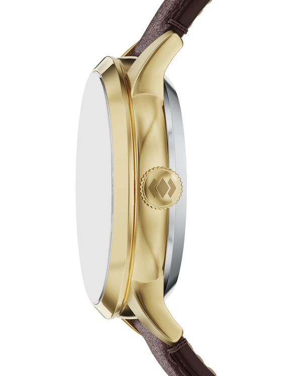 Fossil Ceas Fossil Townsman Automatic ME3286 Auriu