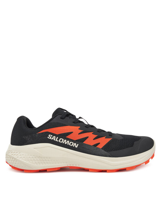 Salomon Взуття для бігу Salomon Alphaglide L47801100 Чорний