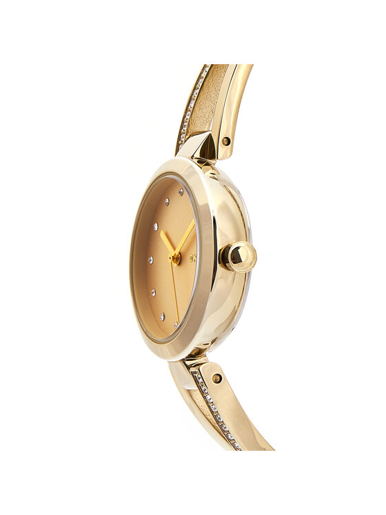 DKNY Ženska ročna ura DKNY Classic Zlata