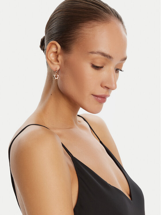 Aldo Auskaru komplekts Aldo Charmiies 13994892 Zelta