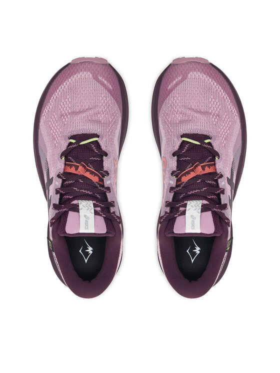 Asics Взуття для бігу Asics Trabuco 14 Gtx 1012B936 Рожевий