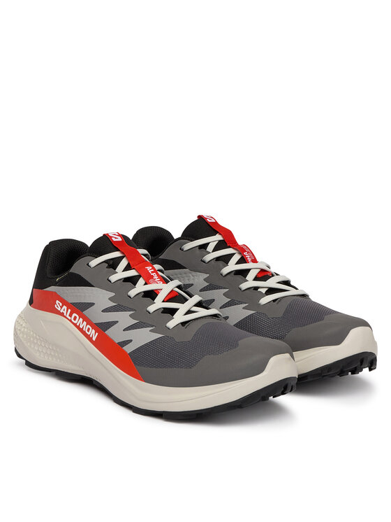 Salomon Взуття для бігу Salomon Alphaglide Gore-Tex L47975300 Сірий