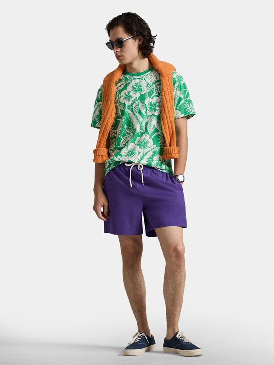 Polo Ralph Lauren Polo Ralph Lauren Camiseta 710B16614001 Verde Regular Fit