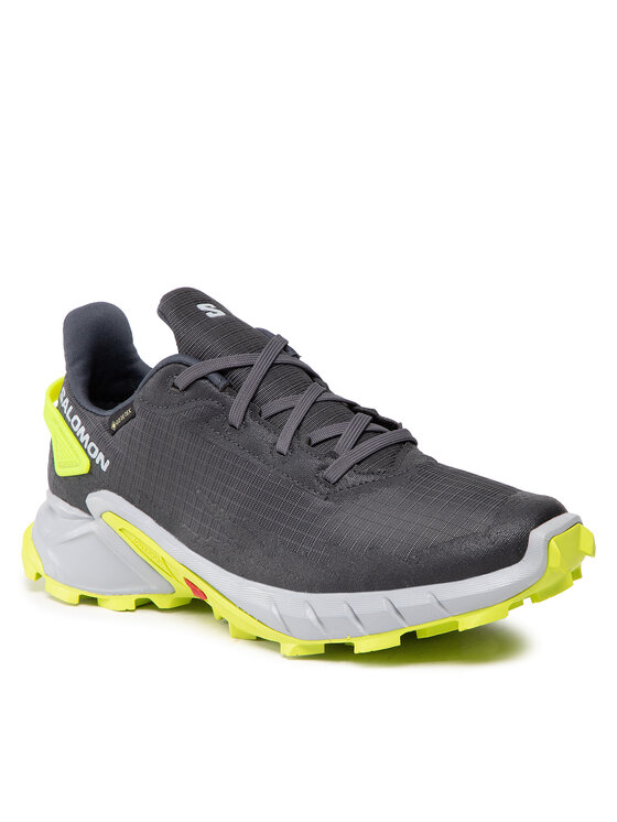 Salomon Buty do biegania Salomon Alphacross 4 Gtx GORE-TEX 470667 26 V0 Szary