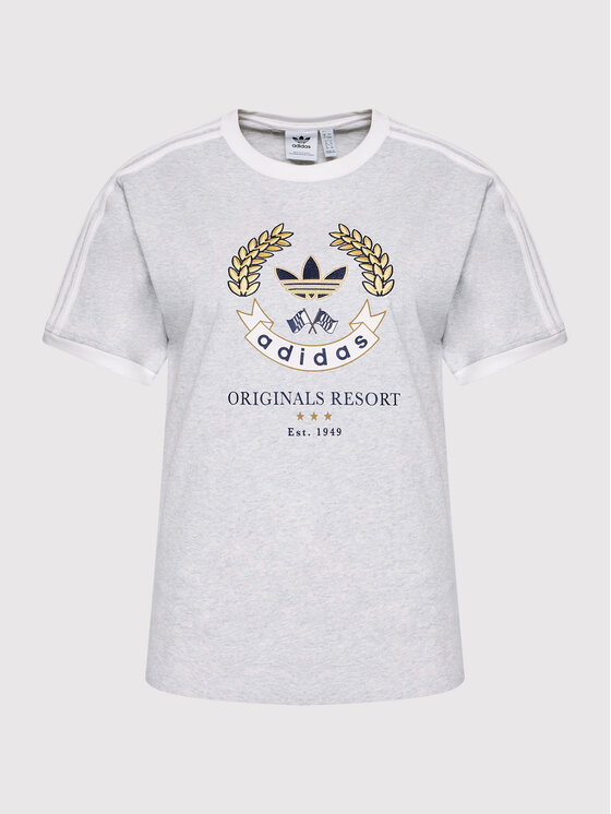 adidas adidas Футболка Graphic HL6554 Сірий Loose Fit