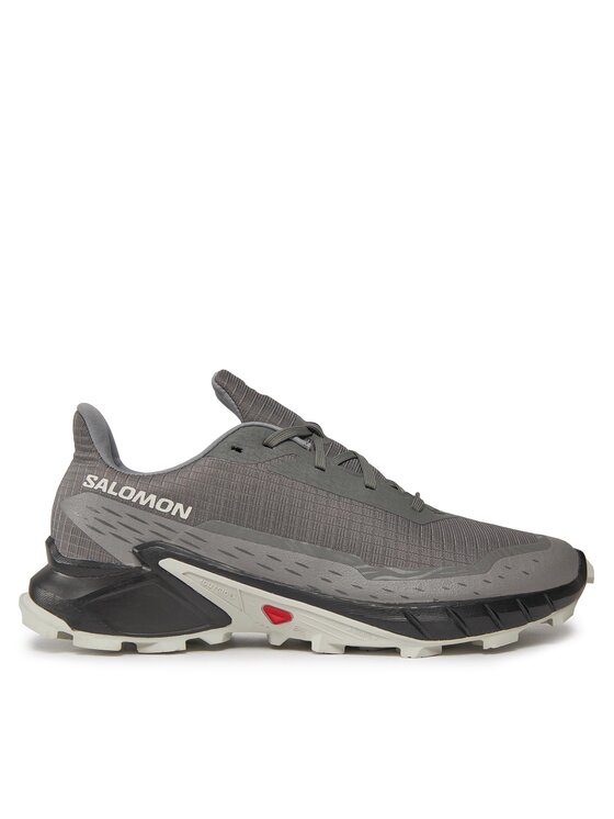 Взуття для бігу Salomon Alphacross 5 473133 29 W0 Сірий