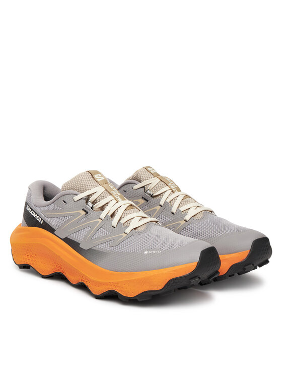 Salomon Взуття для бігу Salomon Ultra Flow 2 Gore-Tex L47884200 Сірий