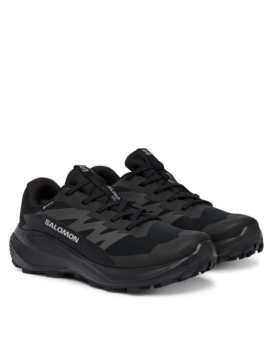 Salomon Взуття для бігу Salomon Alphaglide Gtx W L49214400 Cиній
