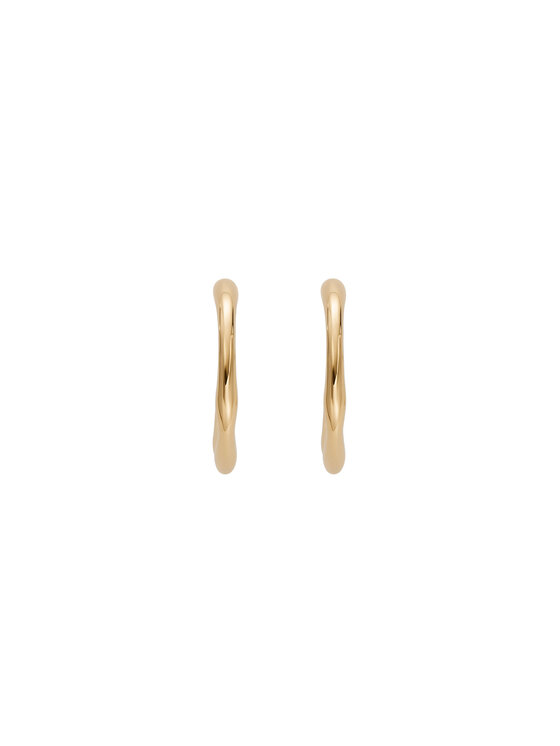 Skagen Сережки Skagen SKJ1722710 Золотий