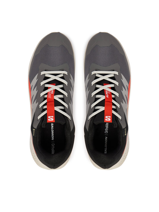 Salomon Взуття для бігу Salomon Alphaglide Gore-Tex L47975300 Сірий