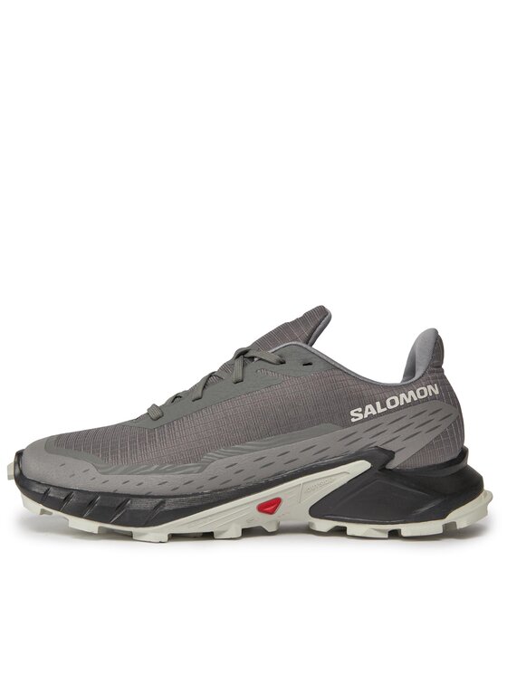 Salomon Взуття для бігу Salomon Alphacross 5 473133 29 W0 Сірий