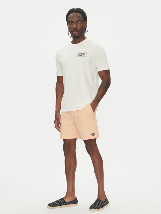 Billabong Billabong Футболка Scenic Arch Adiv Ss 24A501539 Білий Regular Fit