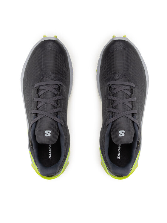 Salomon Bežecké topánky Salomon Alphacross 4 Gtx GORE-TEX 470667 26 V0 Sivá