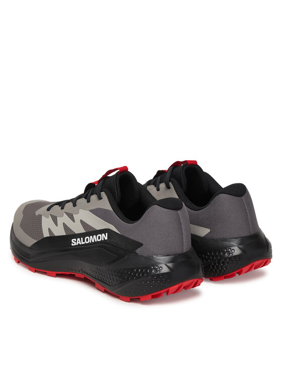 Salomon Pantofi pentru alergare Salomon Alphaglide L48000800 Gri