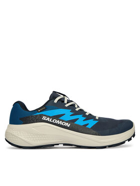 Salomon Взуття для бігу Salomon Alphaglide Gtx L47975100 Голубий