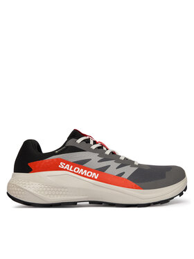 Salomon Взуття для бігу Salomon Alphaglide Gore-Tex L47975300 Сірий