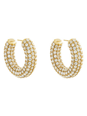 JACQUEMUS Сережки JACQUEMUS 24E241JW668-5101 Золотий