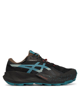 Asics Маратонки за бягане Asics Trabuco 14 Gtx 1011C165 Черен