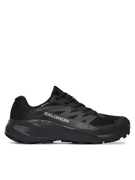 Salomon Взуття для бігу Salomon Alphaglide Gtx W L49214400 Cиній