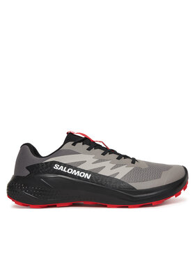 Salomon Взуття для бігу Salomon Alphaglide L48000800 Сірий