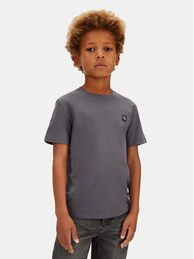 Calvin Klein Jeans Calvin Klein Jeans Camiseta IU0IU00543 Gris Regular Fit