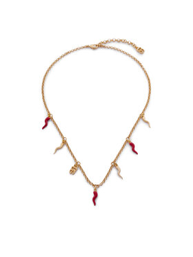 Dolce&Gabbana Collar Dolce&Gabbana WNQ6C2 W1111 Oro