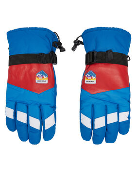 Viking Lyžařské rukavice Viking Brother Louis Ski 110/24/6226/9934 Barevná