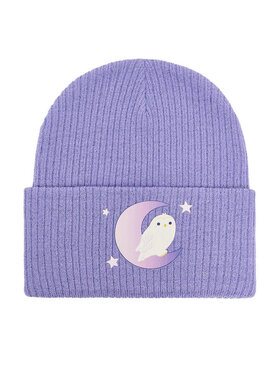 Harry Potter Kapa Harry Potter CEO-ACCCS-AW25-323WBHP Vijolična