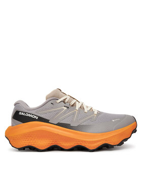 Salomon Взуття для бігу Salomon Ultra Flow 2 Gore-Tex L47884200 Сірий