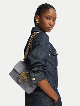 Just Cavalli Bolso Just Cavalli Iconic Snakes 81RA4BAF ZSE74 Gris