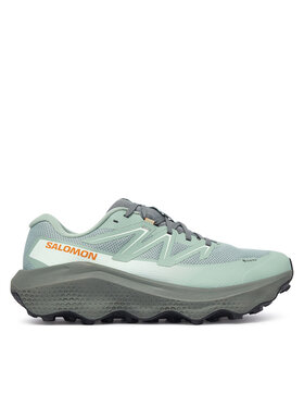 Salomon Взуття для бігу Salomon Ultra Flow 2 Gtx GORE-TEX L45473900 Зелений