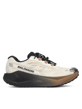 Salomon Bėgimo batai Salomon Aero Blaze 4 gtx GORE-TEX L45403900 Smėlio
