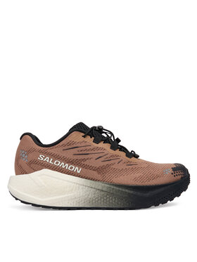 Salomon Pantofi pentru alergare Salomon Aero Blaze 4 L45400500 Maro