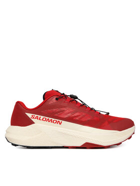 Salomon Взуття для бігу Salomon Pulsar L49230100 Червоний