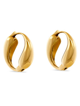 Aldo Náušnice Aldo Cristyna 13834922 Zlatá