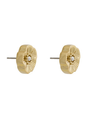 Coach Ausskari Coach 37527562 Zelta