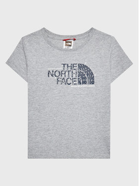 The North Face The North Face T-Shirt Graphic NF0A7X5B Γκρι Regular Fit