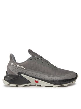 Salomon Взуття для бігу Salomon Alphacross 5 473133 29 W0 Сірий