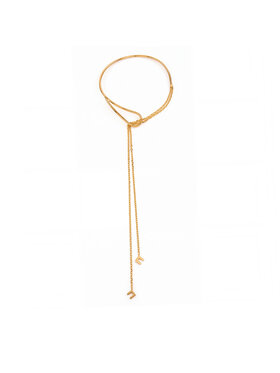 Elisabetta Franchi Kaklarota Elisabetta Franchi CO-74B-67E2-V340 Zelta