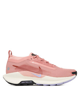 Nike Взуття для бігу Nike W Pegasus Trail 5 Gtx GORE-TEX FQ0912 602 Рожевий